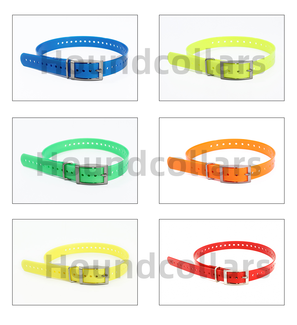Pet Supplies Plus - Nylon Dog Collar Adjustable Pet Leash