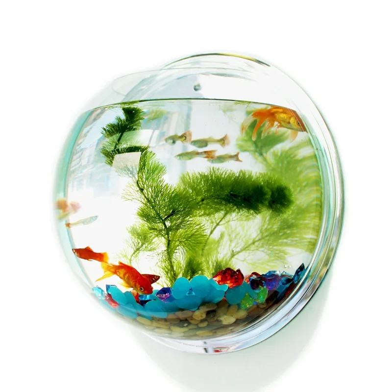 Pet Supplies Fish - Acrylic Fish Bowl Wall Hanging Aquarium
