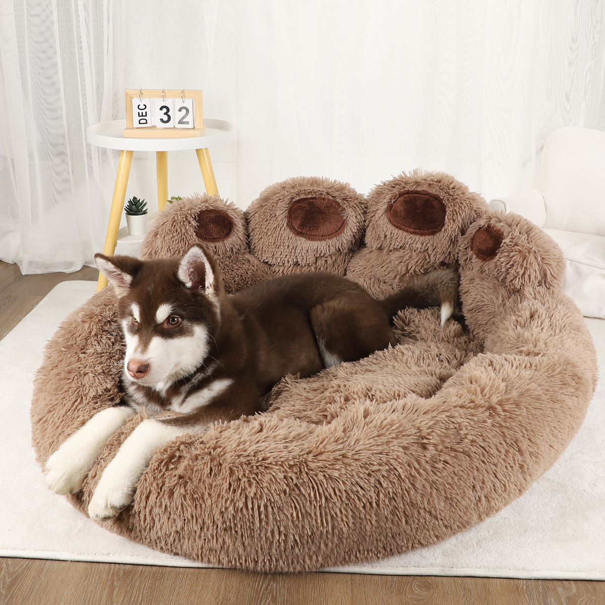 Pet Supplies Plus - Dog Sofa Bed Small Breeds Dogs