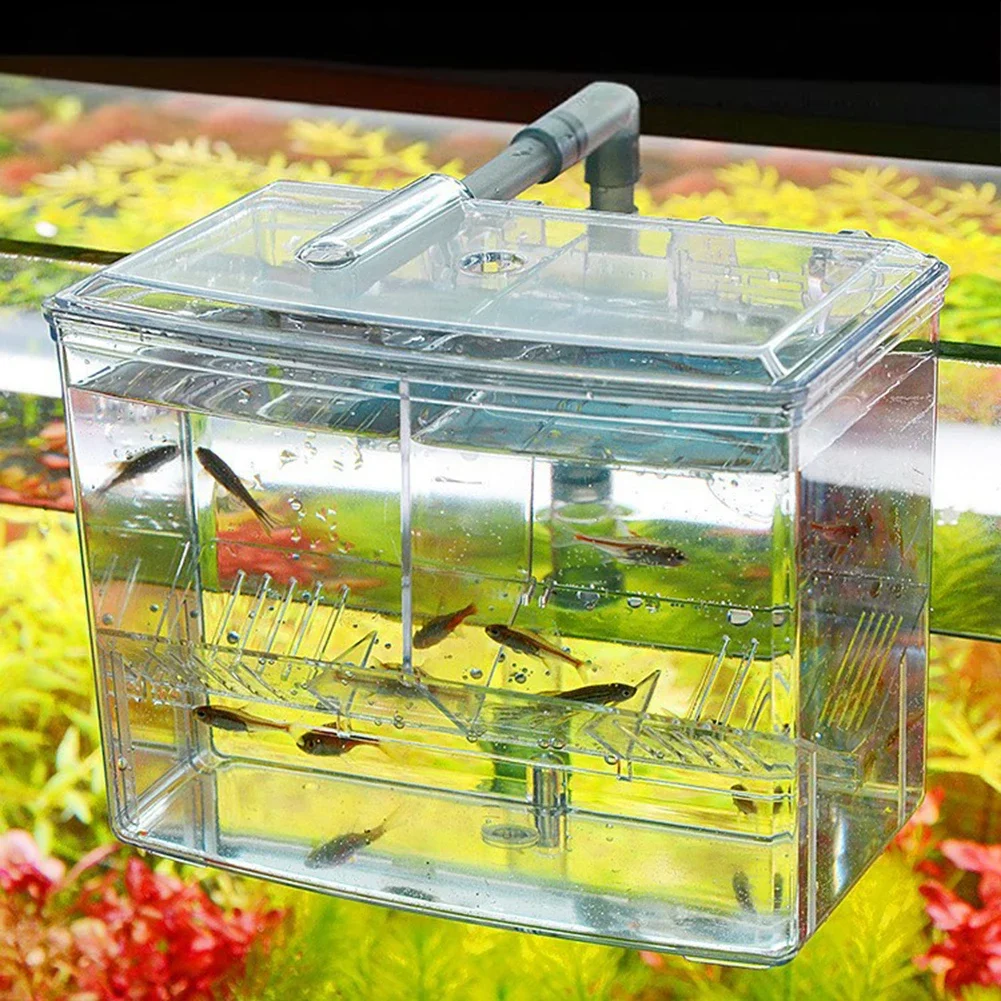 Aquarium Fish Breeding Box for - Pet Supplies Fish recension och pris