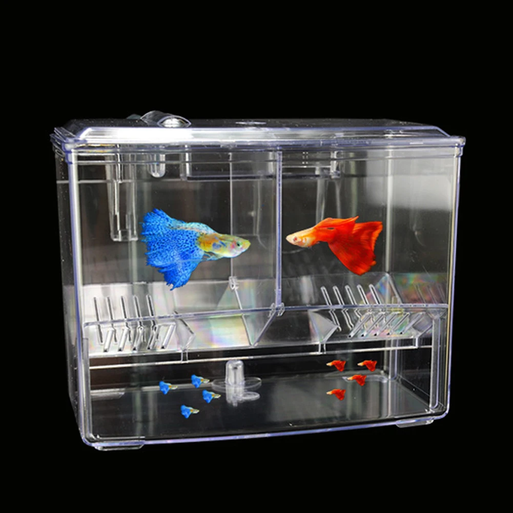 Aquarium Fish Breeding Box for - Pet Supplies Fish recension och pris