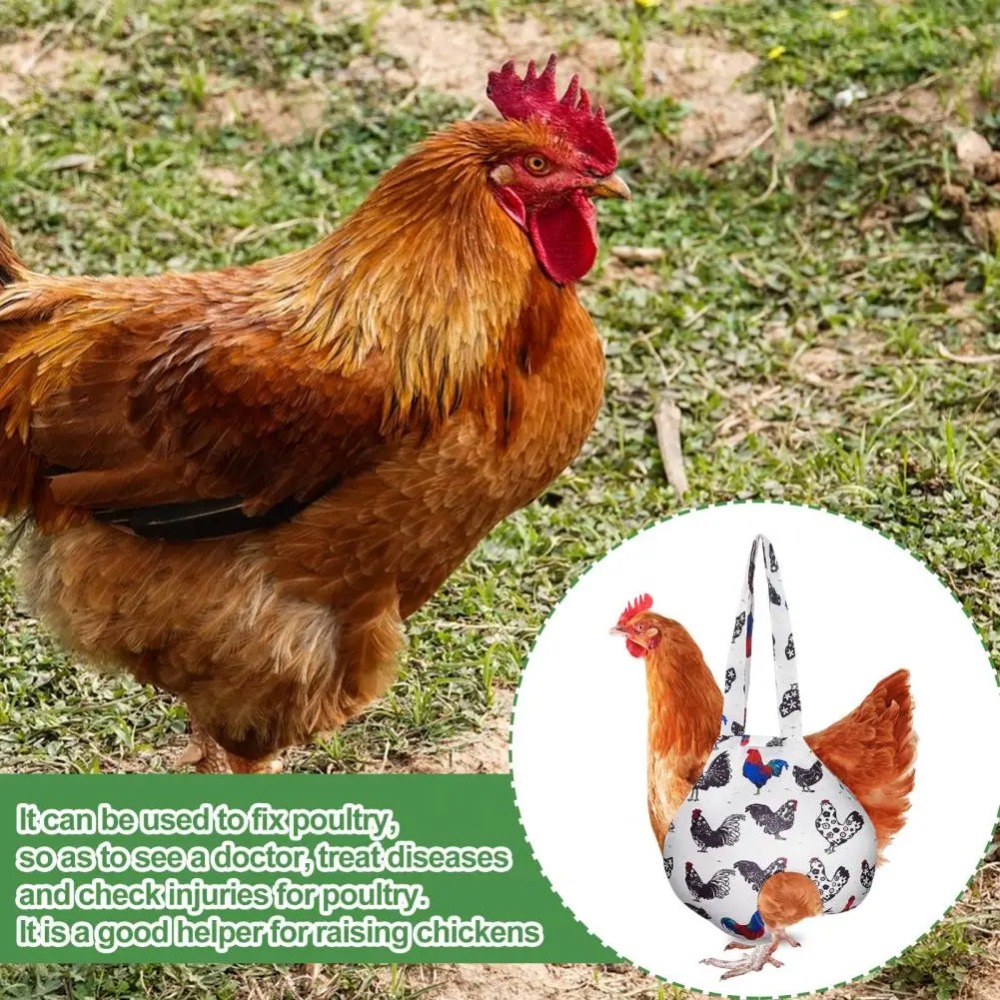 Portable Lightweight Chicken H - Pet Supplies Plus recension och pris