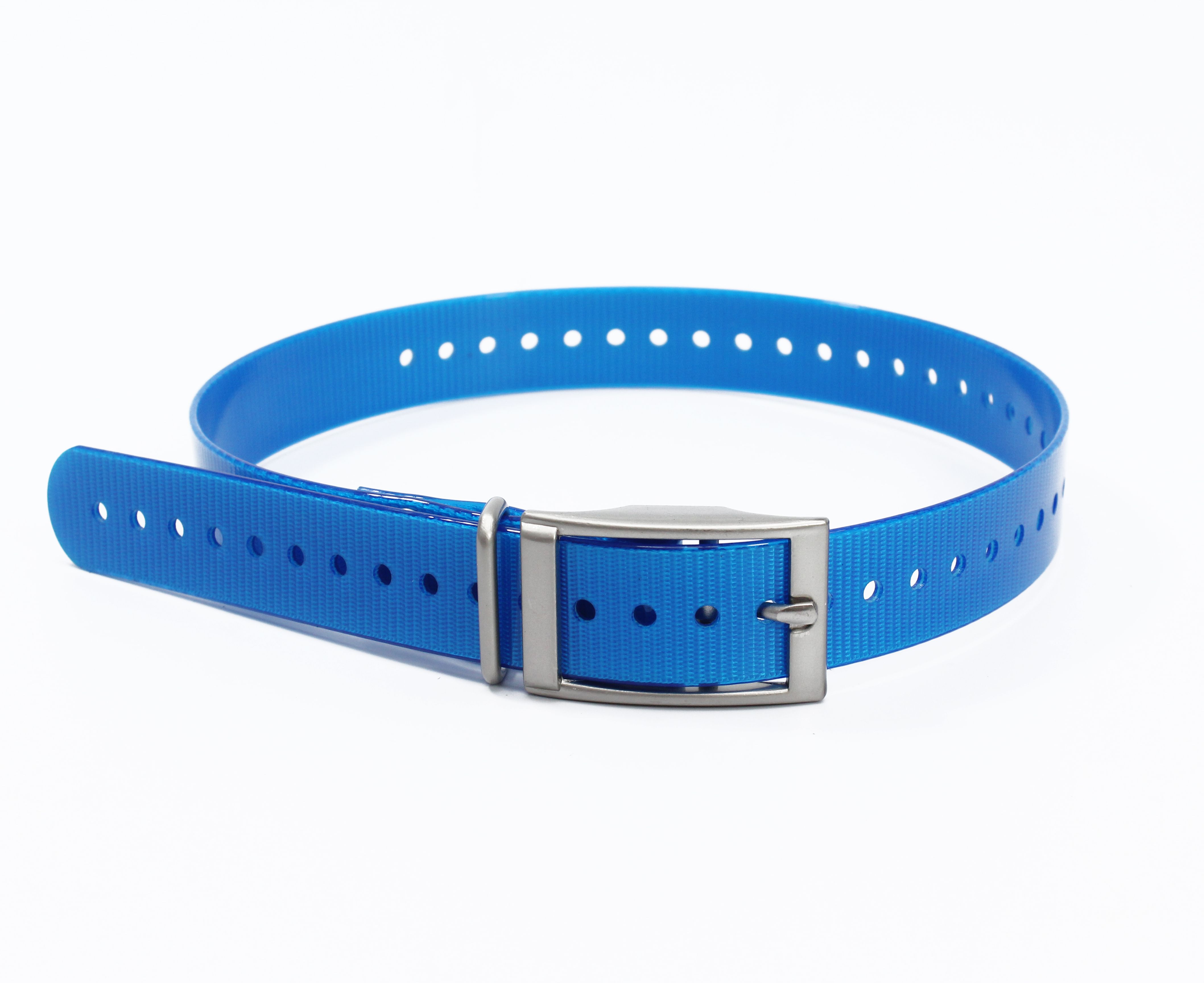 Nylon Dog Collar Adjustable  P - Pet Supplies Plus recension och pris