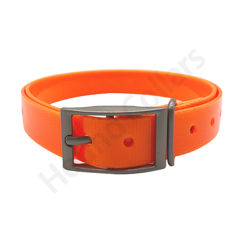 Nylon Dog Collar Adjustable  P - Pet Supplies Plus recension och pris