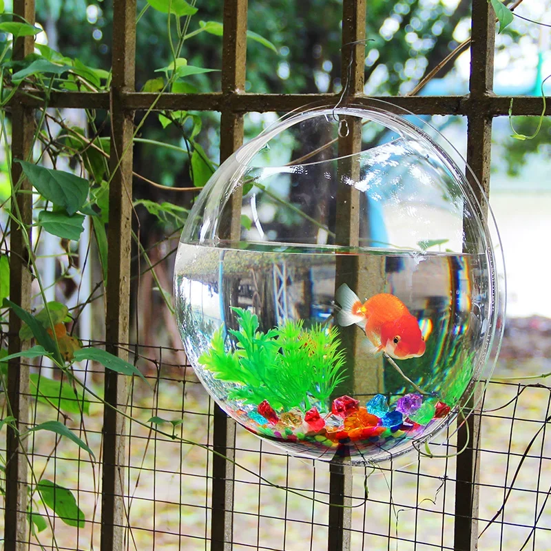 Acrylic Fish Bowl Wall Hanging - Pet Supplies Fish recension och pris
