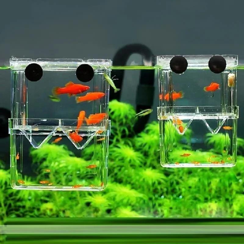 Transparent Fish Aquarium High - Pet Supplies Fish recension och pris