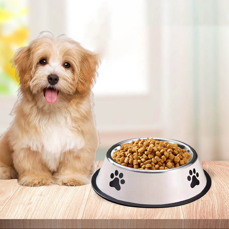 Stainless steel large capacity - Pet Supplies Plus recension och pris