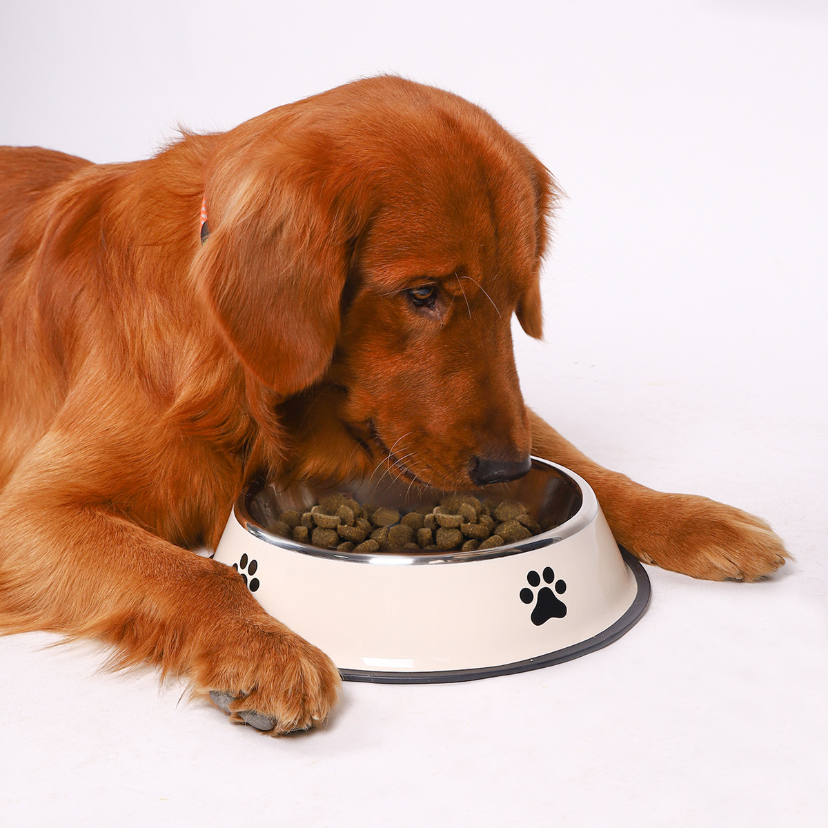 Stainless steel large capacity - Pet Supplies Plus recension och pris