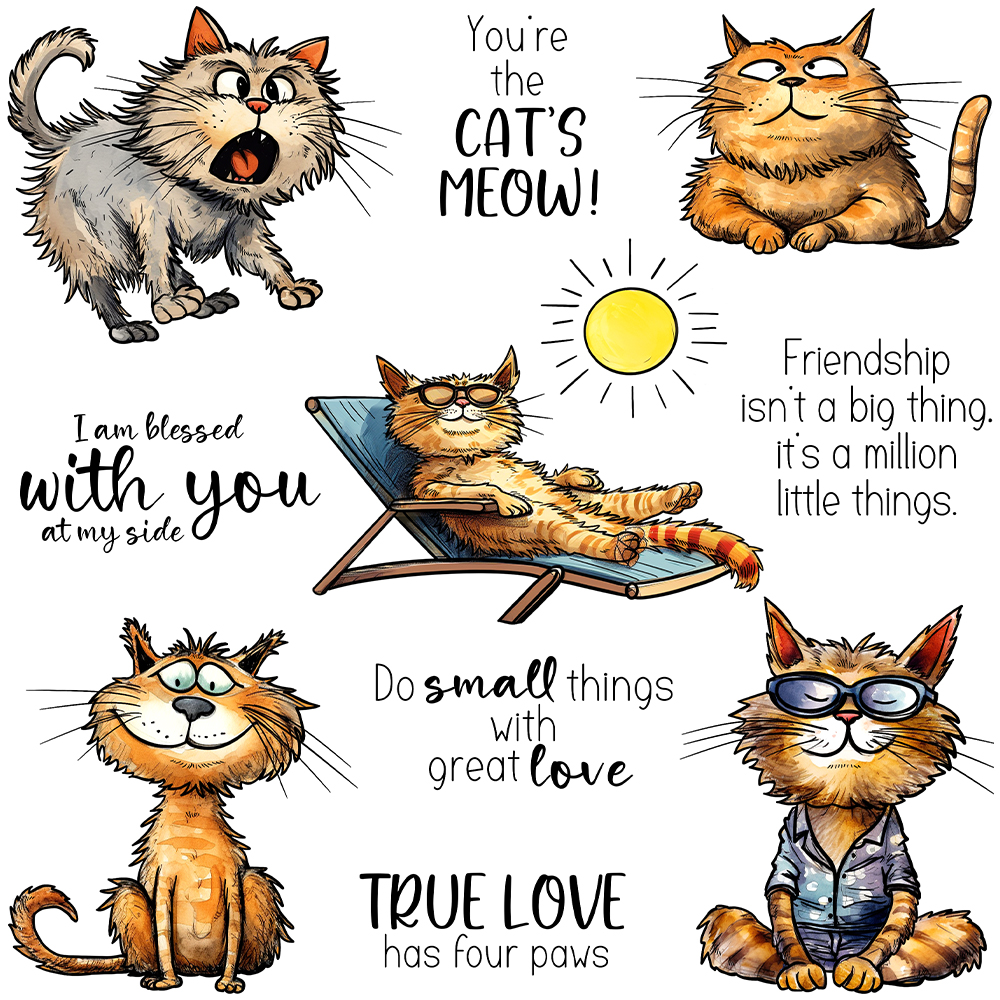 Mangocraft Funny Pet Cats Holi - Pet Supplies Fish recension och pris