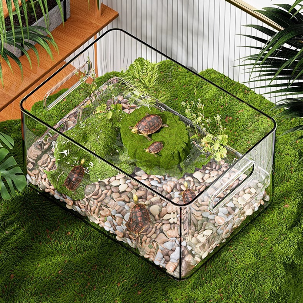 1 PC Transparent Aquatic Terre - Pet Supplies Fish recension och pris