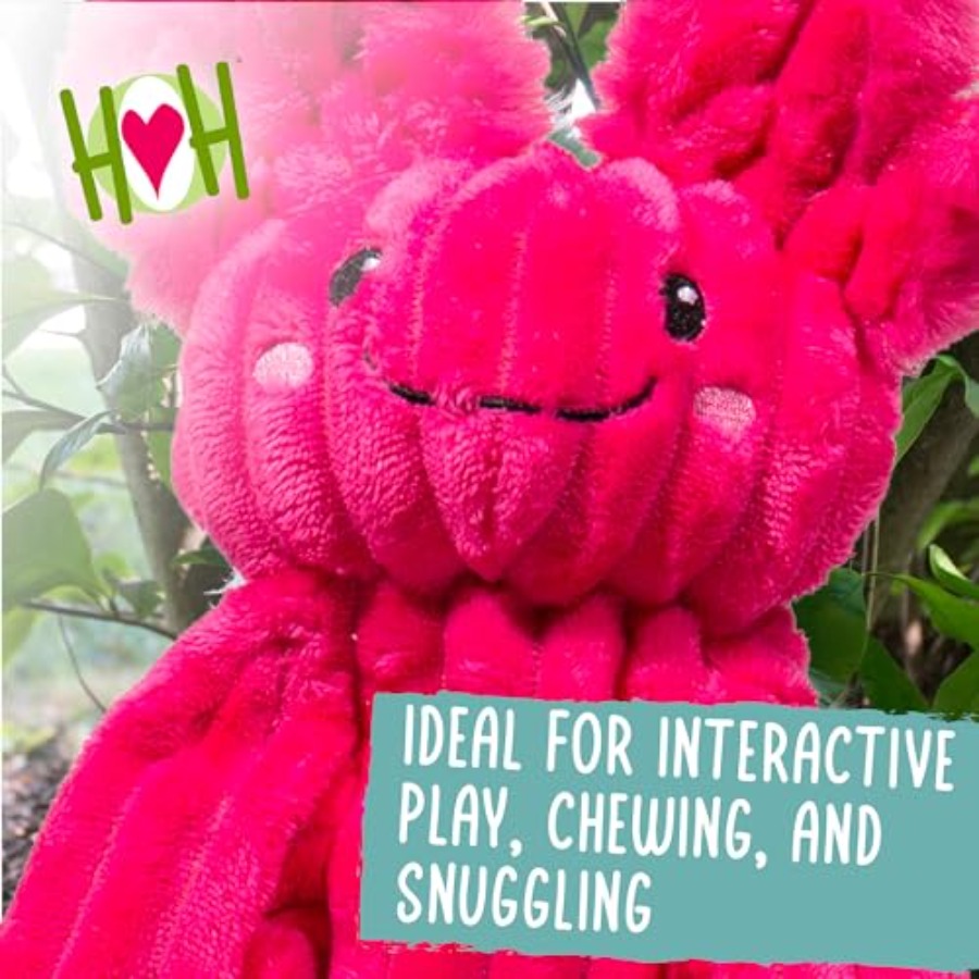 X-Brace Squeaky Dog Toy - Inte - Pet X Supplies & Tack Howell Mi recension och pris