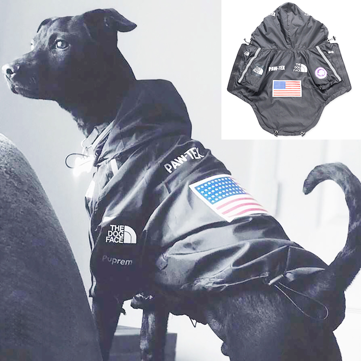 Pet Dog Waterproof Coat Dog Ra - Pet Supplies Plus recension och pris