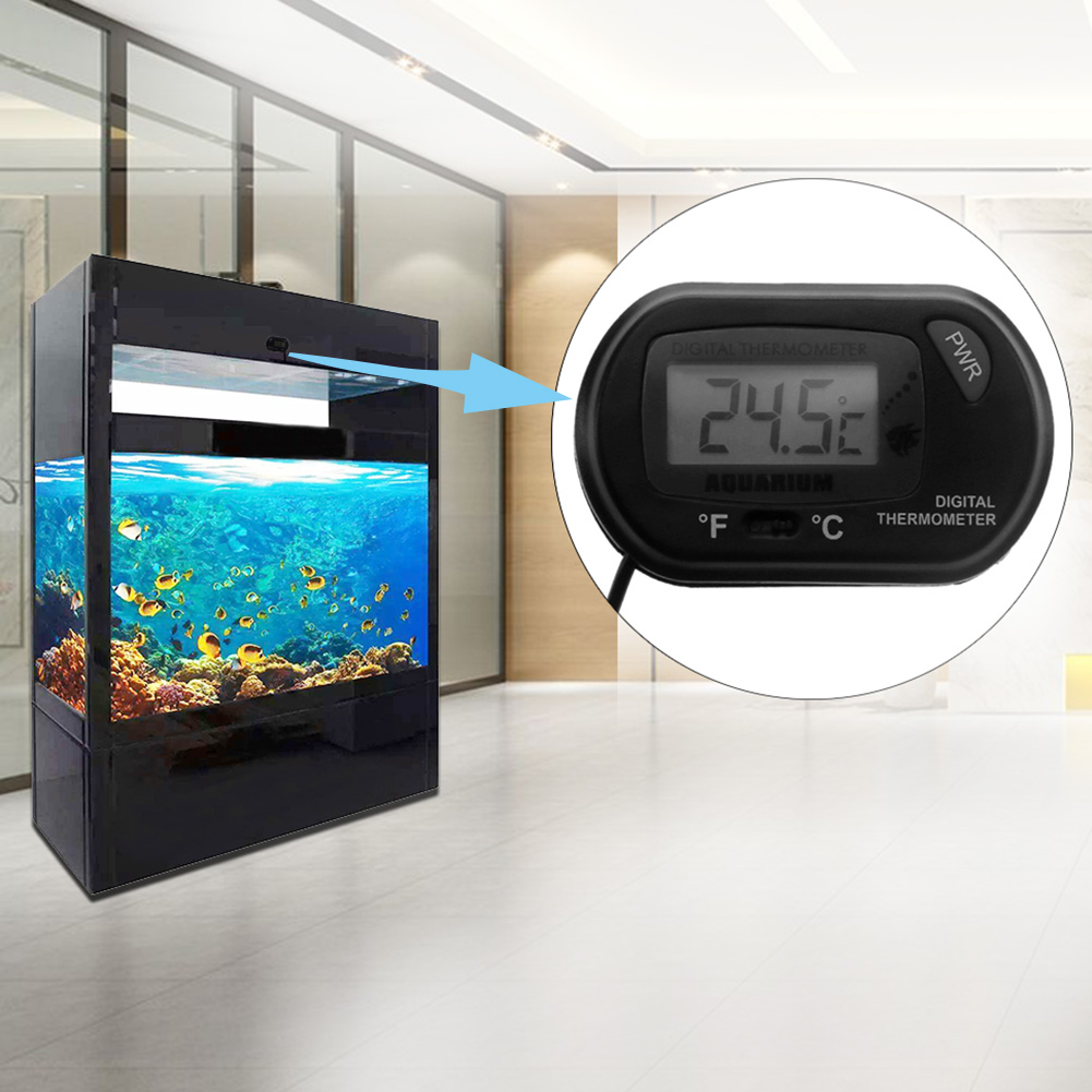Aquarium Thermometer Suction C - Pet Supplies Fish recension och pris